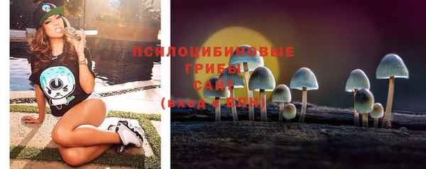 спайс Осинники