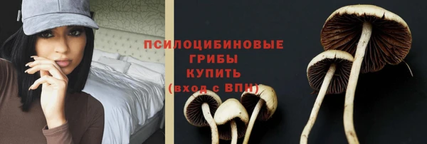 марки lsd Абаза