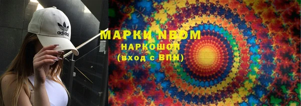 прущие грибы Алзамай