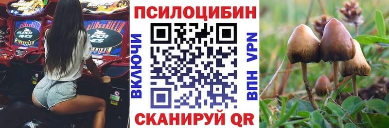 Галлюциногенные грибы прущие грибы  Людиново 