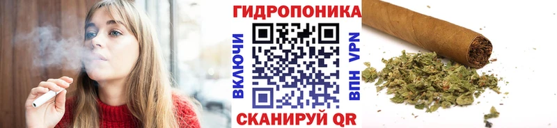 Бошки марихуана White Widow  где можно купить   Людиново 