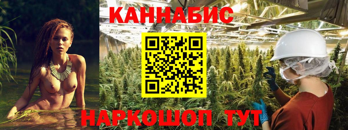 Канабис White Widow Людиново
